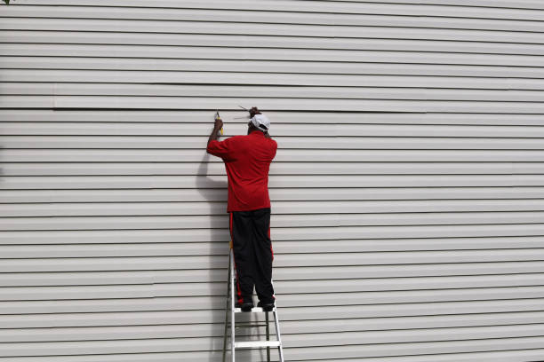 Best Historical Building Siding Restoration  in South Lyon, MI
