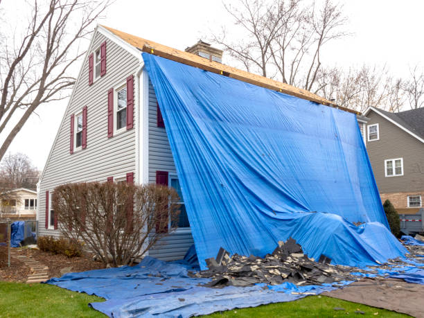 Best Custom Siding Design  in South Lyon, MI