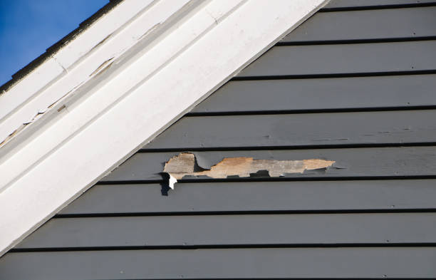 Best Stucco Siding  in South Lyon, MI