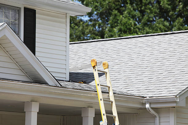 Best Custom Trim and Detailing for Siding  in South Lyon, MI